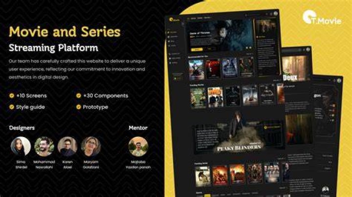 Online streaming platform interface